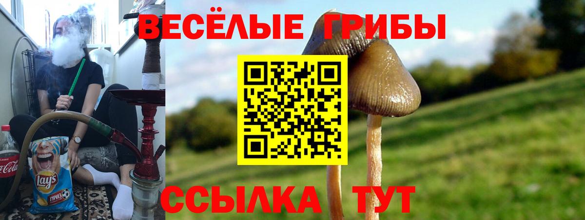 Псилоцибиновые грибы ЛСД  Галлюциногенные грибы Magic Shrooms  Вход с VPN  Дербент 